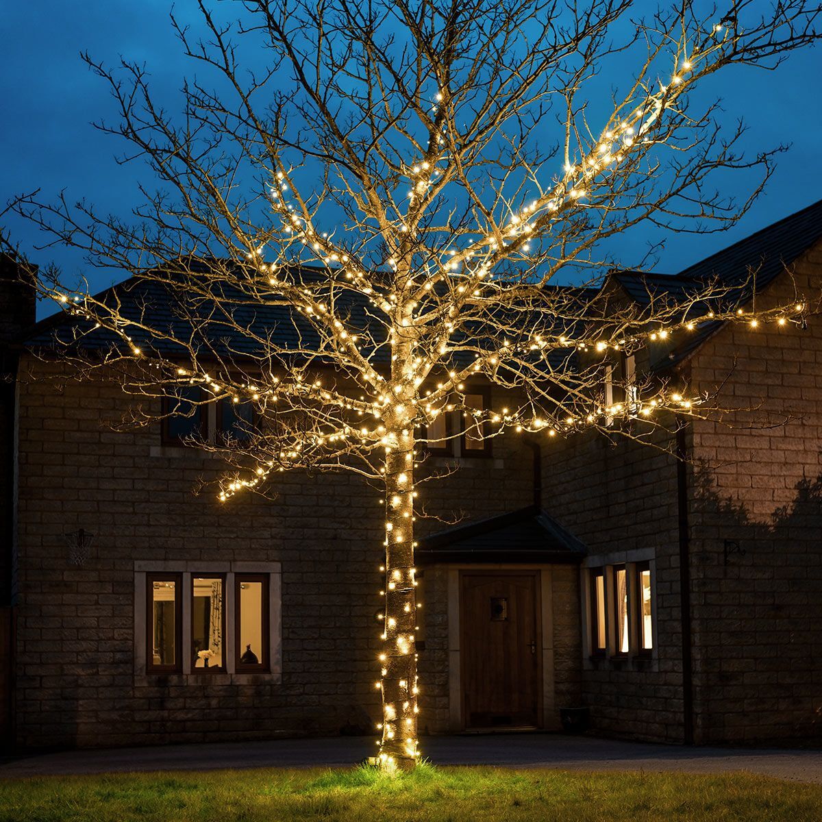Warm White Fairy Lights – 1,200 LED / 60m