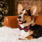 Christmas Dog Bow Tie - Festive Dog Bow Tie - Collar with Bow - Dog Collar - Red - Checkered Bowtie - Adjustable Neckline - Dog Accessories - Dog Clothing - Dogwear - Christmas - Gift - Size XL