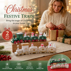 Green & White Christmas Train – 2 Pack