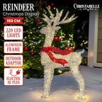 Christabelle 1.5m Light-Up Christmas Reindeer – 220 Warm White LEDs