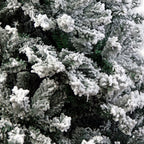 NNEDSZ Christabelle Snow-Tipped Artificial Christmas Tree 1.5m - 550 Tips