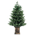 1.2m Pre-Lit Potted Christmas Tree – 8 Light Modes