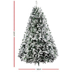 2.4m Snow-Flocked Christmas Tree – 1,500 Tips