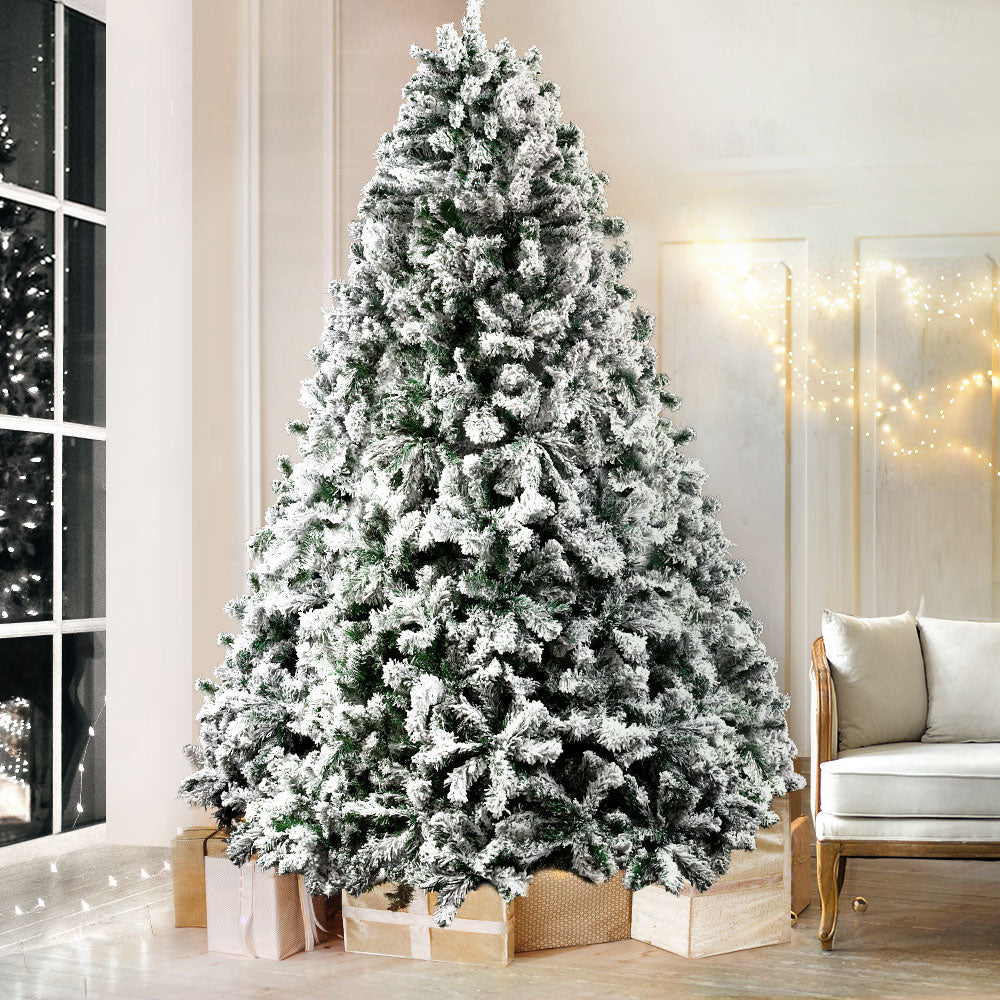 2.4m Snow-Flocked Christmas Tree – 1,500 Tips