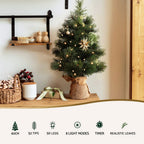 MINI AF 60cm LED Tabletop Christmas Tree – 8 Light Modes