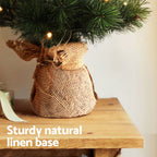 MINI AF 60cm LED Tabletop Christmas Tree – 8 Light Modes