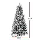 2.1m Snow-Flocked Pre-Lit Christmas Tree – 500 Warm White LEDs