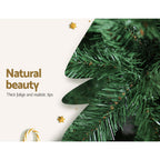 Christmas Tree 2.4m Green Xmas Tree – 1,225 Tips