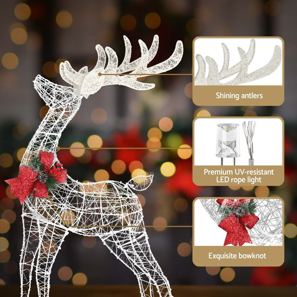 Pre-Lit Reindeer Pair – 170 Warm White LEDs