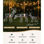 Set of 3 Light-Up Reindeer – 250 LEDs